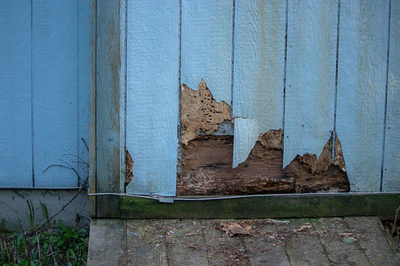 Repairing Damaged Siding